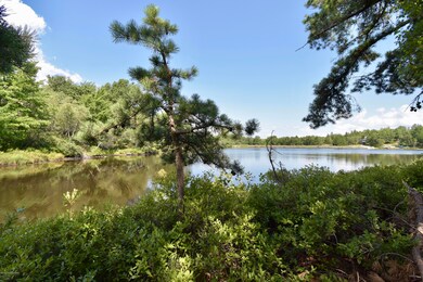 125 English Ivy Ct, Long Pond, PA 18334 - photo 6