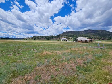 37 S Alder Creek Ln, South Fork, CO 81154 - photo 4