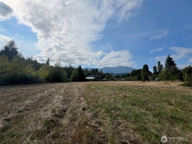 29438 X Highway 101, Quilcene, WA 98376 - photo 6