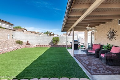 25-Back Yard