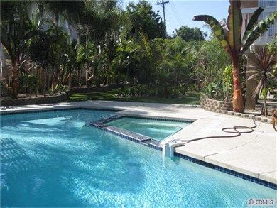 Pool & Spa