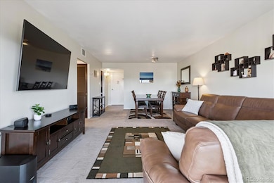 Cheesman Tower West lofts unit 902, Denver, CO 80218 - photo 6