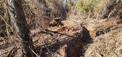 12 Cheddar Dr, Bella Vista, AR 72715 - photo 4