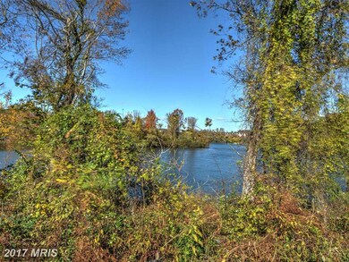 17677 Marbury St, Round Hill, VA 20141 - photo 7