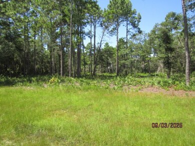 315 Gramercy Plantation Rd, Eastpoint, FL 32328 - photo 3