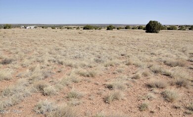 14 Cr 5525, Concho, AZ 85924 - photo 6