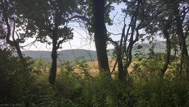 Clear a few trees and underbrush for a side view o