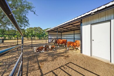 1021 Turkey Meadows Ln, Weatherford, TX 76088 - photo 7