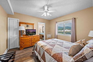 3215 N River Rd, Pigeon Forge, TN 37863 - photo 4