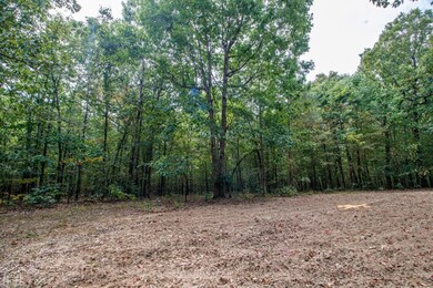 20 Acres Greene 737 Rd, Paragould, AR 72450 - photo 7