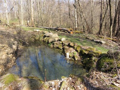 The spring fed pond also supplies the house water.
