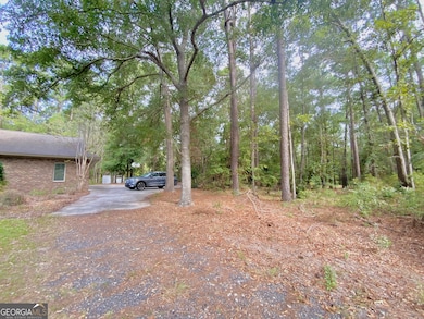 3195 Middle Ground Rd, Statesboro, GA 30461 - photo 4