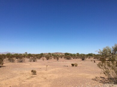 IMG_1215 (1)