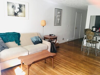 20 Radcliffe Rd unit 204, Allston, MA 02134 - photo 3