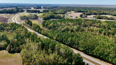 0 U S Highway 64, Jamesville, NC 27846 - photo 5