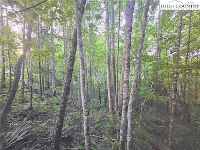 21 Eagle Landing Dr, Crumpler, NC 28617 - photo 5