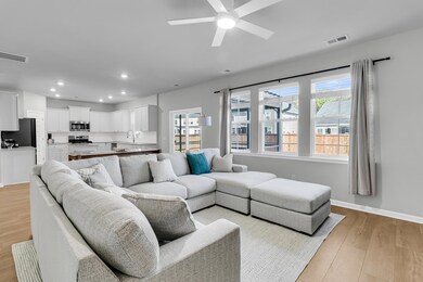 Light filled Living Room