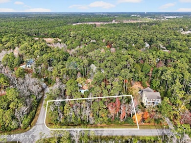 Lot 50 Carolina Bay Ct, Southport, NC 28461 - photo 5