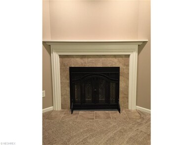 WOOD BURNING Fire place.  a rare thing in newer ho