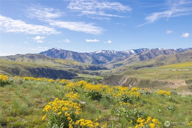 1 Terrace View Short Plat, Methow, WA 98834 - photo 2