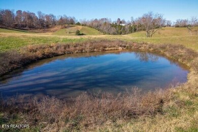 33.59  AC E Bethlehem Rd, Sparta, TN 38583 - photo 6
