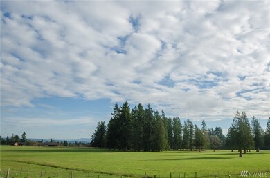 576 Spencer Rd, Toledo, WA 98591 - photo 3