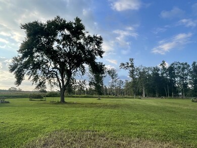 Level Lot with nature trees.