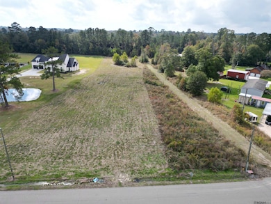 CC-2-A & B Herman Ernest Rd, Denham Springs, LA 70706 - photo 3