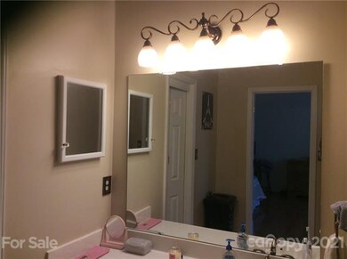 12529 Cedar Fall Dr, Huntersville, NC 28078 - photo 7