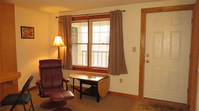 32 Pond St, Ludlow, VT 05149 - photo 4