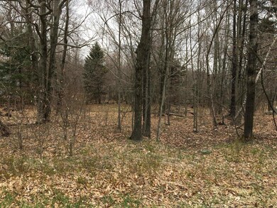 #18 Woodland Ave, Pocono Pines, PA 18350 - photo 2