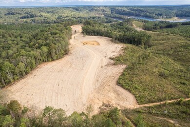 1190 County Road 950, Crane Hill, AL 35053 - photo 7