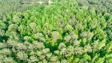 Photo_6554555_DJI_955_jpg_15922638_0_202