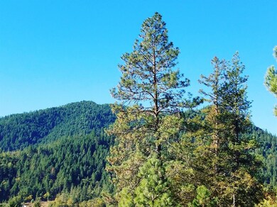 2585 E Evans Creek Rd, Rogue River, OR 97537 - photo 4