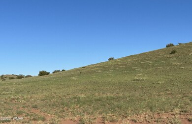 Eastern Hillside