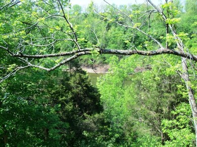 756 Normans Camp Rd, Harrodsburg, KY 40330 - photo 4