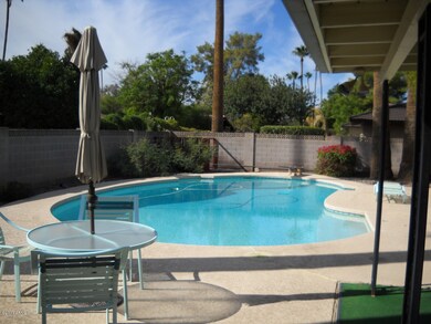 HUGE POOL
