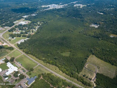 0 Mississippi 13 unit 4124572, Morton, MS 39117 - photo 2