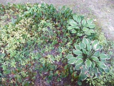 643 Pheasant Hill, Acton, MA 01718 - photo 4