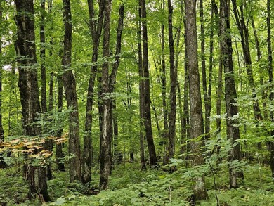 ON Aspen Ln, Phillips, WI 54555 - photo 5