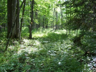 N7641 Miles Rd, Porterfield, WI 54159 - photo 5