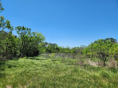 View of local wilderness