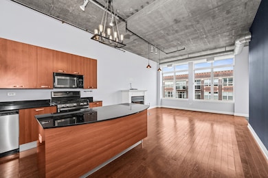 Morgan Street Lofts unit 805, Chicago, IL 60607 - photo 5