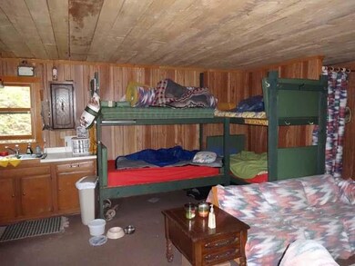 NEAR Honey Rd, Tomahawk, WI 54487 - photo 6