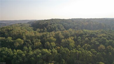 0 Township Road 282 unit 4139739, Coshocton, OH 43812 - photo 2