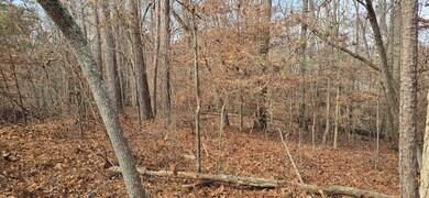 00001 Georgia 369, Ball Ground, GA 30107 - photo 7