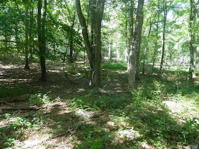 184 Shore Rd, Old Lyme, CT 06371 - photo 4