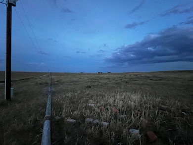 TBD Buggy Rd, Carpenter, WY 82054 - photo 4