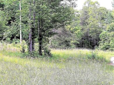 0 Old Mill Creek Rd, Monterey, TN 38574 - photo 2