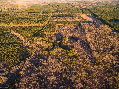 00 Buchanan Dr, Star, NC 27356 - photo 4